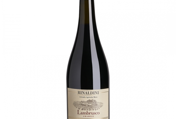 VALPOLICELLA LAMBRUSCO