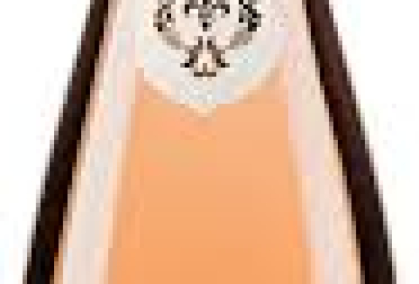 COTE DE PROVENCE SAINT TROPEZ