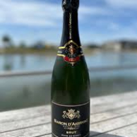 BARON D'ARIGNAC