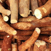 CHIKWANGUE