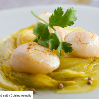 Noix de St Jacques à l'effilochée d'endives